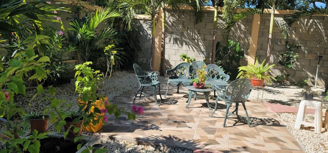 San Jose de Ocoa Casita De Las Flores المظهر الخارجي الصورة